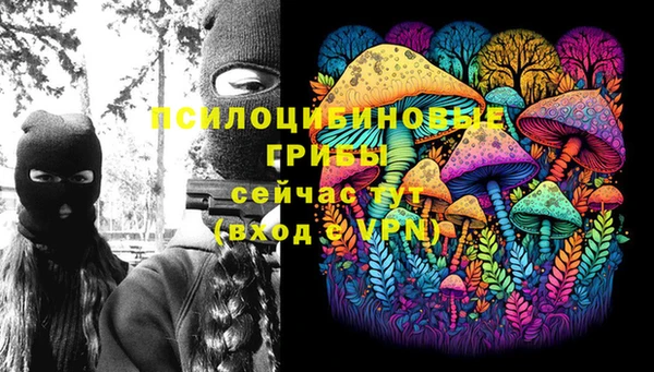 таблы Елизово