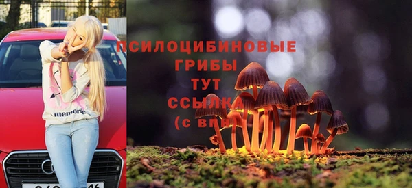 ГАЛЛЮЦИНОГЕННЫЕ ГРИБЫ Усмань