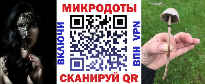 Псилоцибиновые грибы прущие грибы  Купить где  Перевоз 